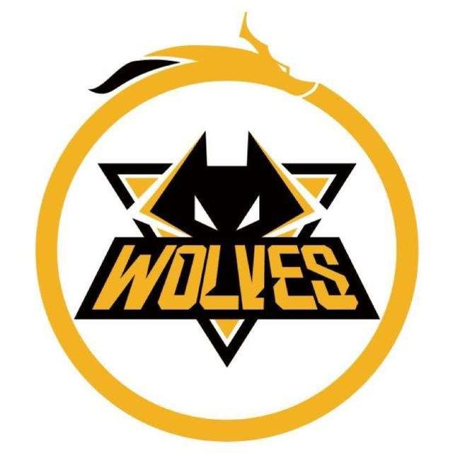 100 Thieves